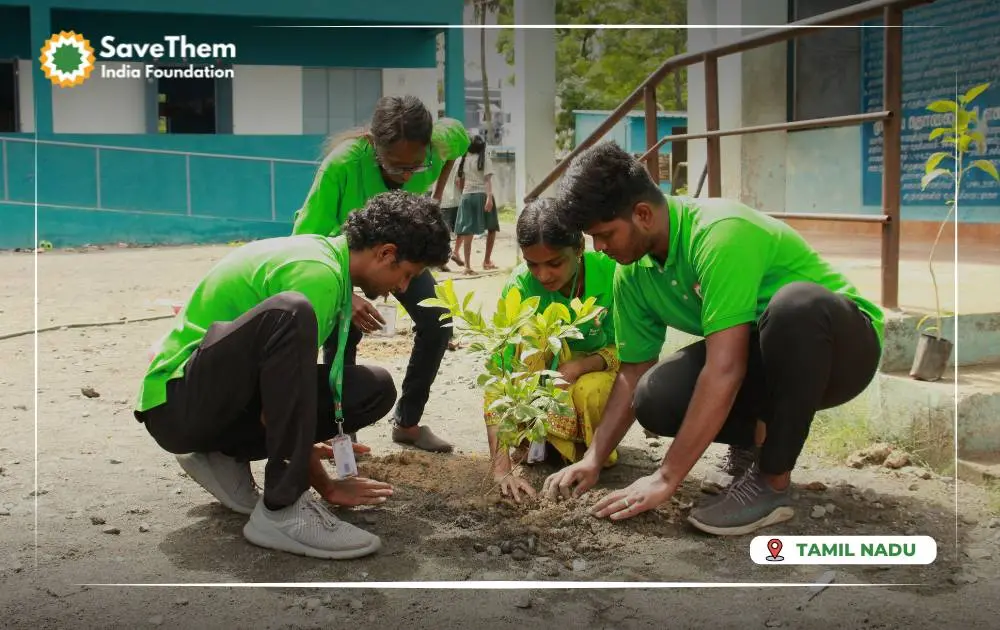 GreenVibes Initiative